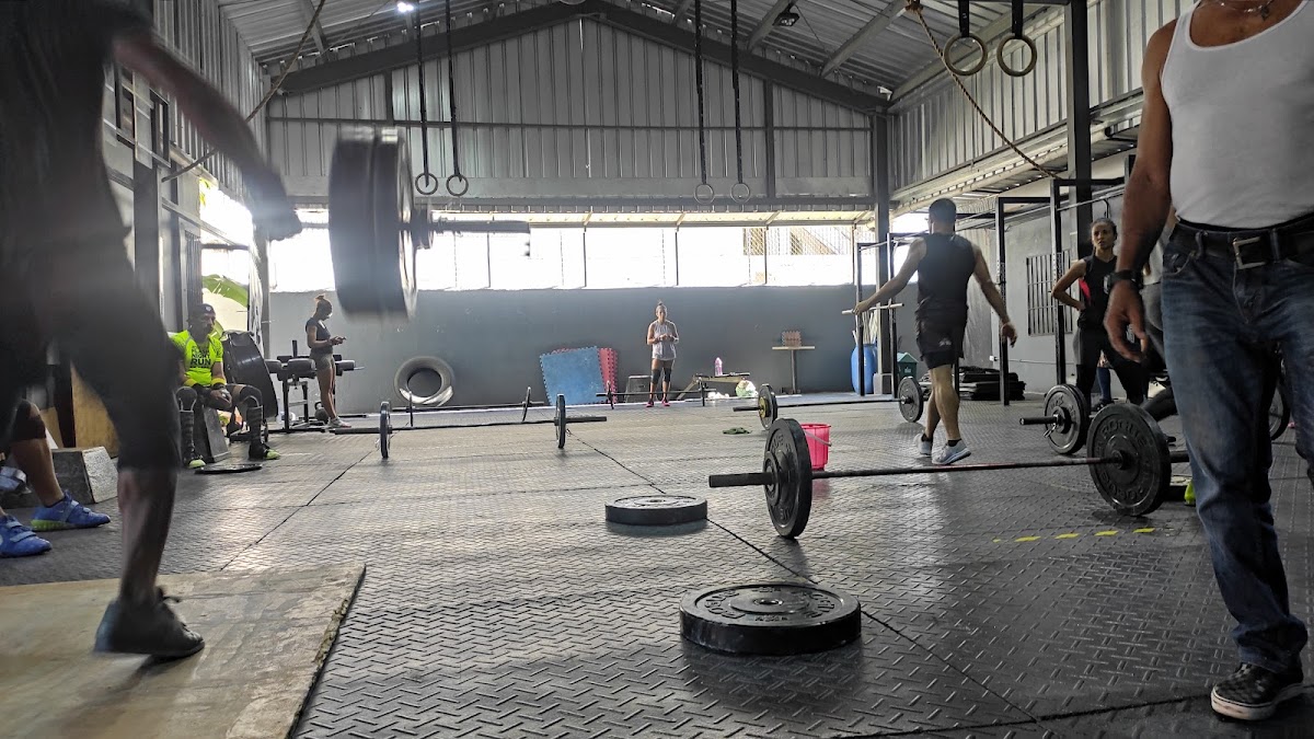 Fight Training Academy SRL - en Santo Domingo de Guzmán