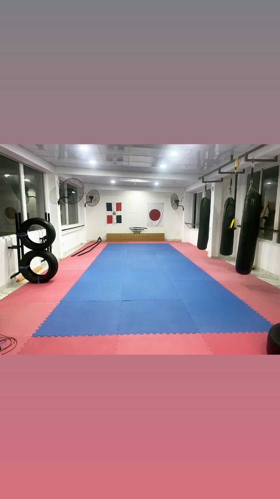 Vetman BJJ - en Santo Domingo Este
