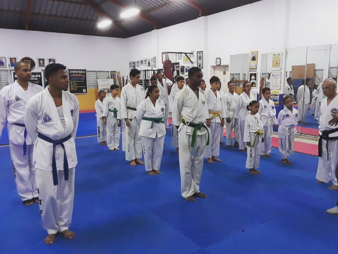 Instituto Unido de Taekwondo - en Santiago de los Caballeros