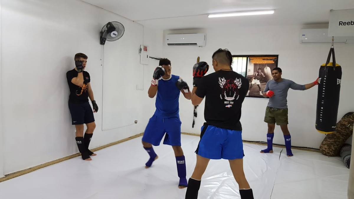 Muay Thai y MMA Dominicana - en Santo Domingo de Guzmán