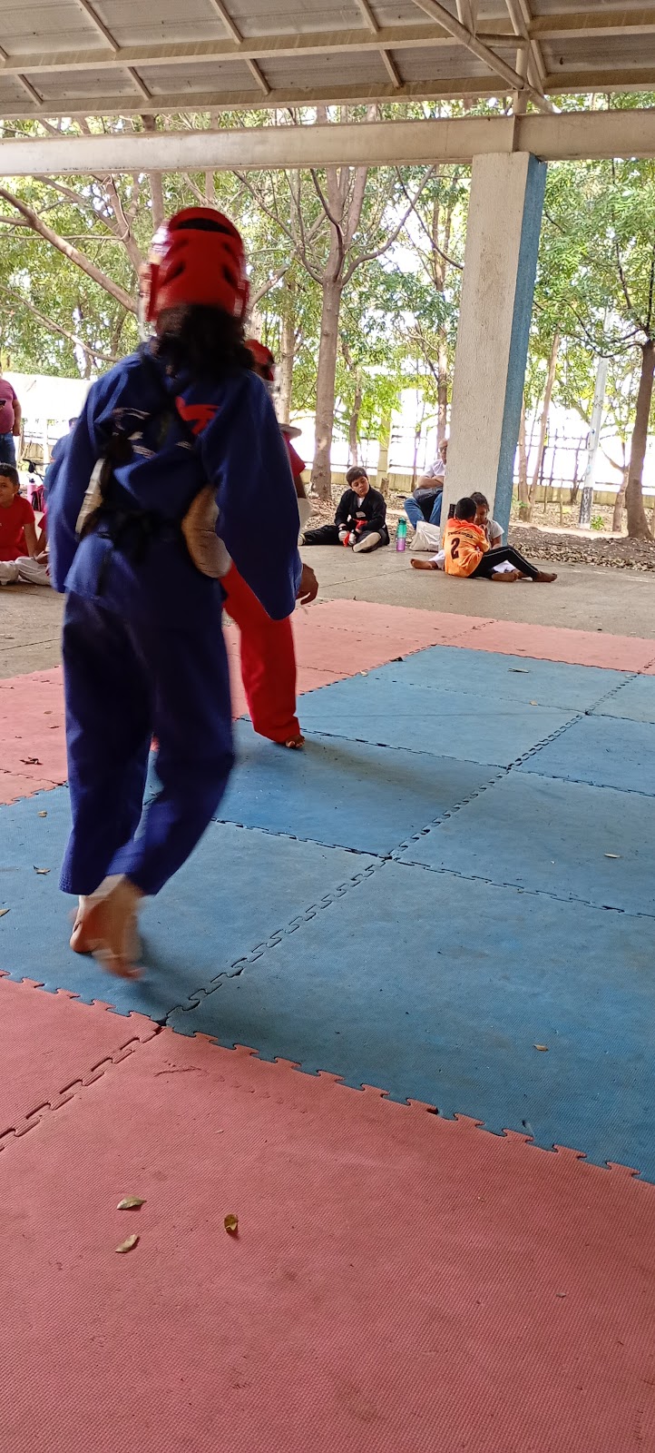 VICTORIAS DEL EL PARQUE DEL ESTE TAEKWONDO - en Santo Domingo Este