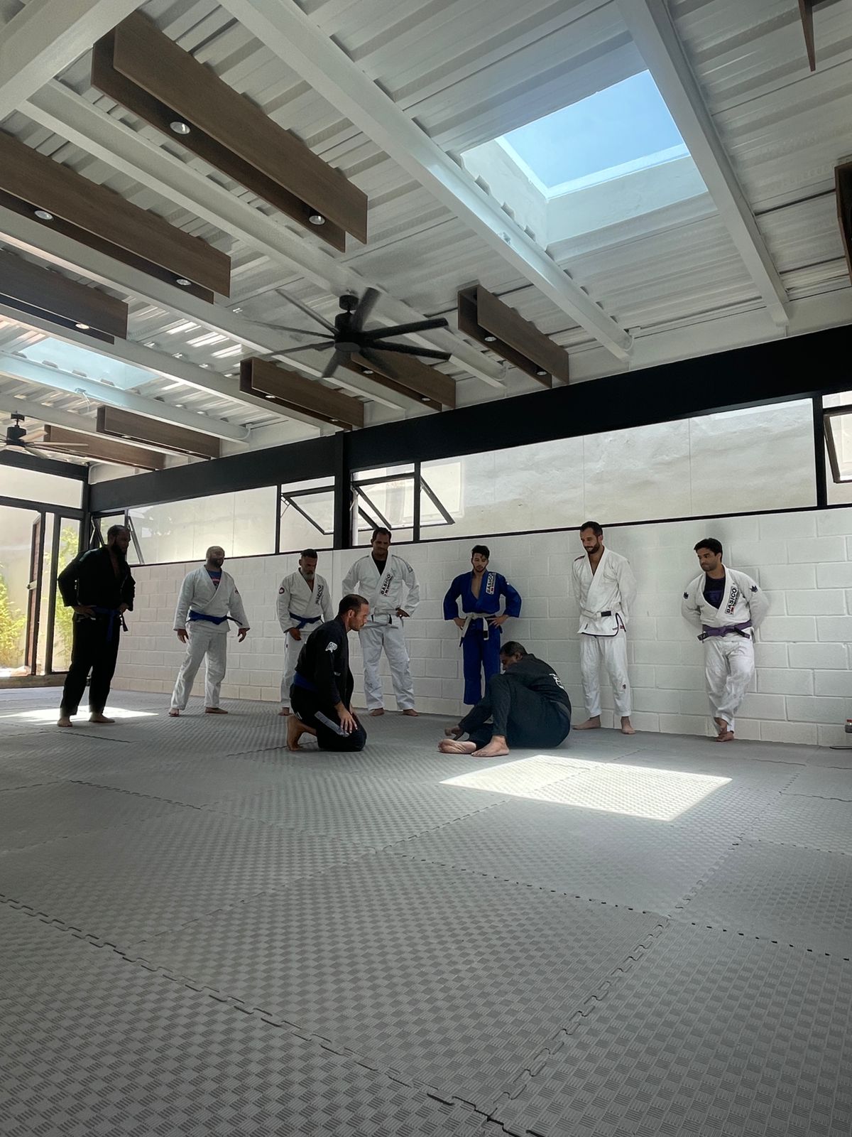 Portada de Basico BJJ