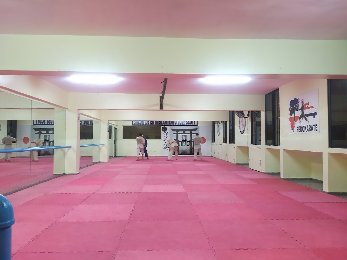 Dai Bushi Ryu - Ju-Jutsu - en Santo Domingo de Guzmán