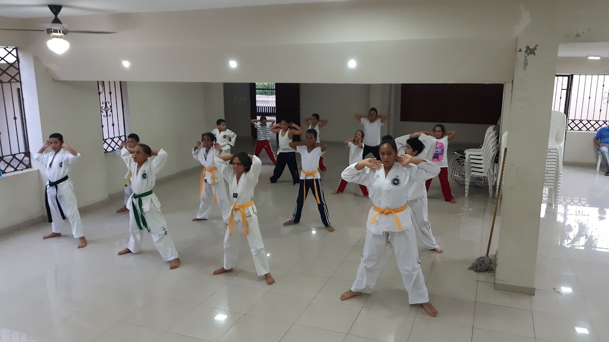 MTA TAEKWON-DO STARK - en Santo Domingo Este