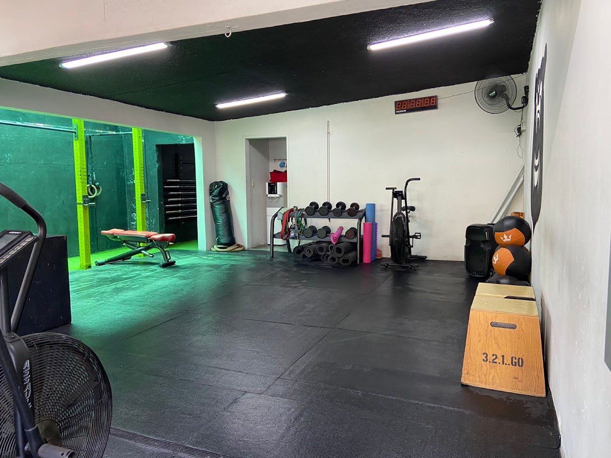 Portada de Bulky Bear Training