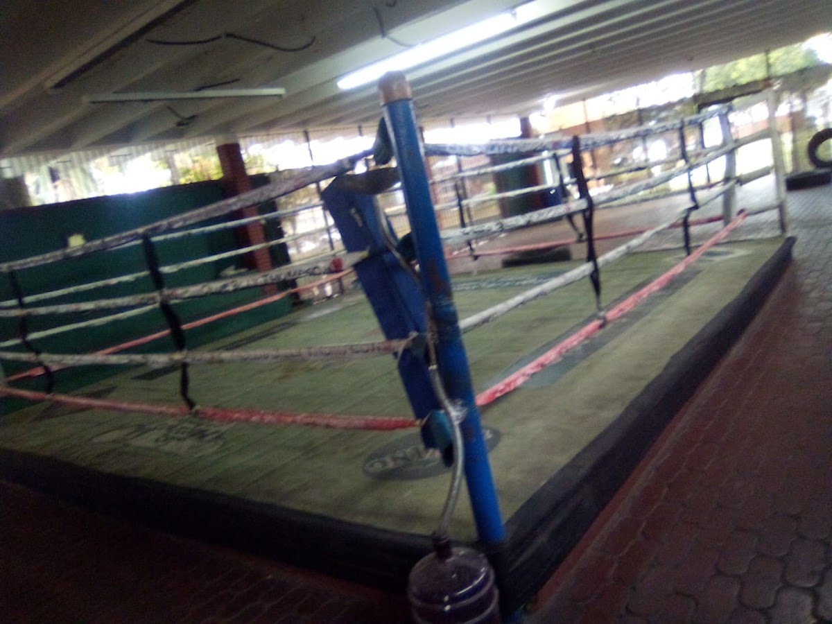 Club de Boxeo Billy Thompson - en Santo Domingo de Guzmán