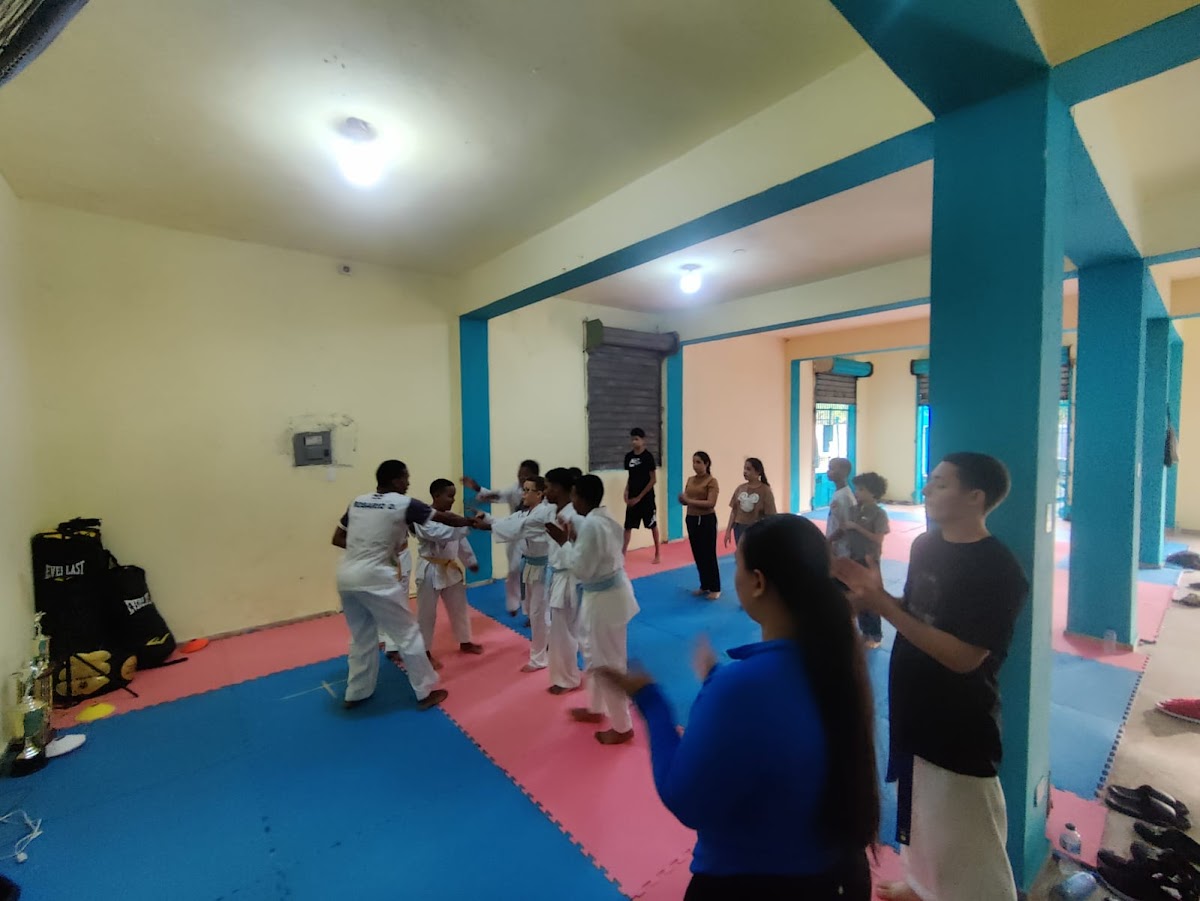 Gorila kombatrd - en Santo Domingo Este