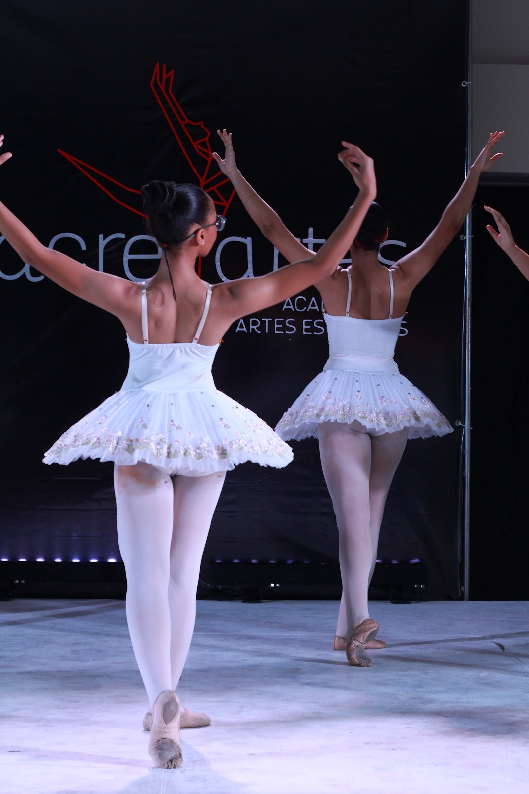 ACREARTES S.R.L. - en Nagua