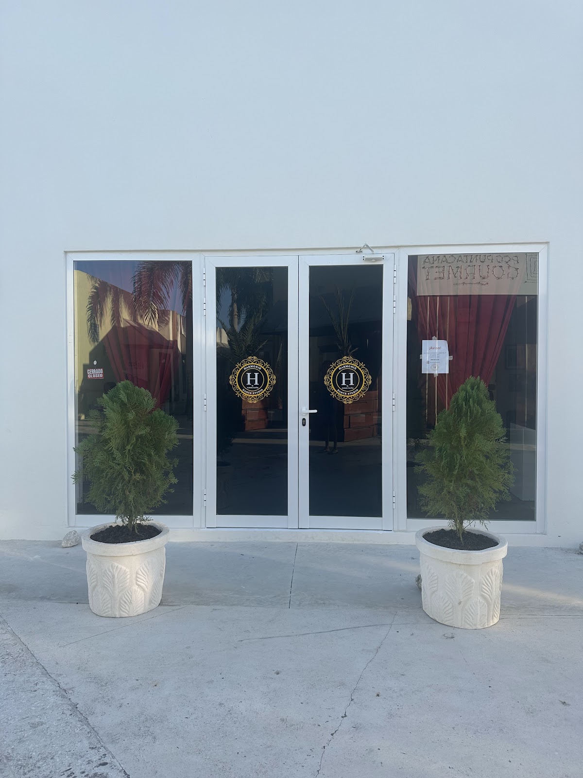 Harmonie Dance Studio - en Salvaleón de Higüey