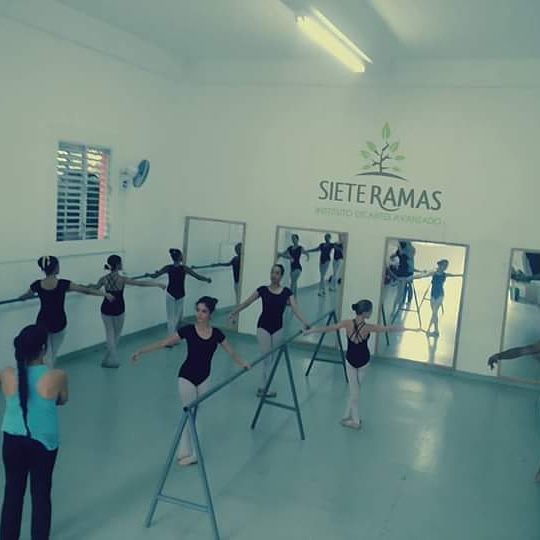 Instituto Siete Ramas - en Santiago de los Caballeros