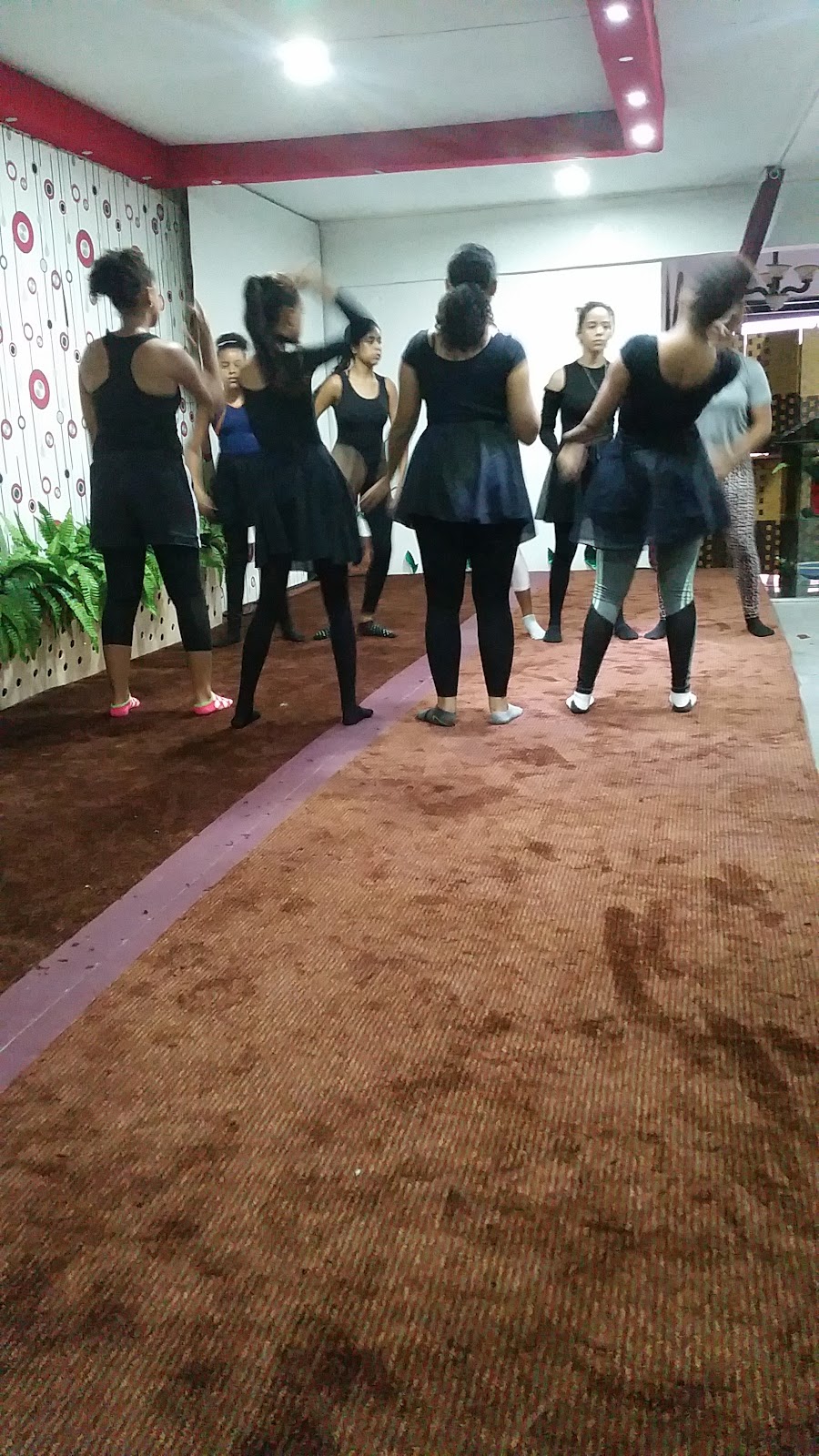 Academia De Danza Renacidas - en Santo Domingo Este