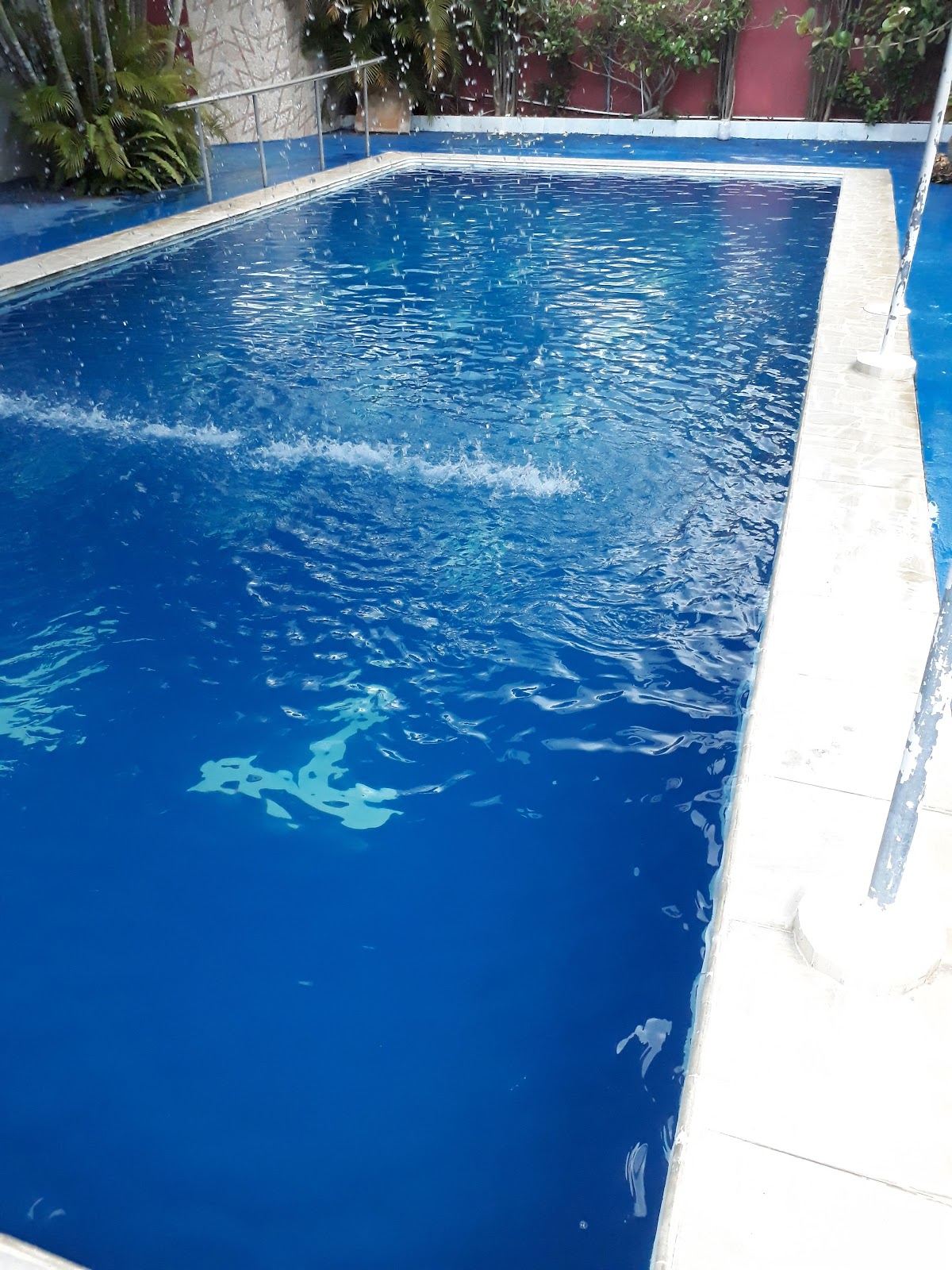 Escuela Blue Shark - en Santo Domingo Este