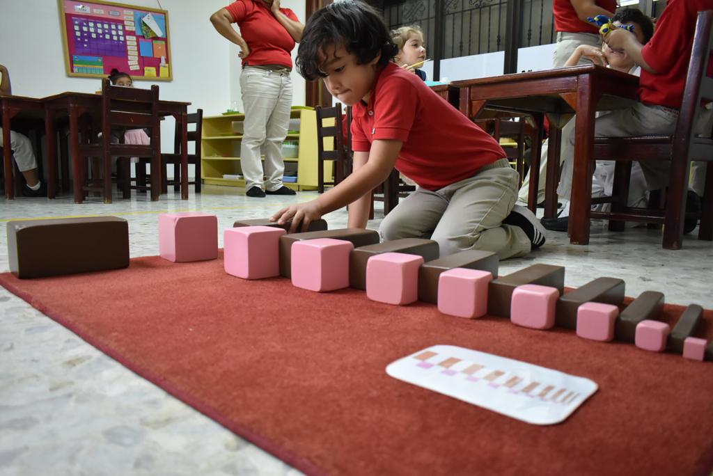 Preescolar y Primaria Comunidad Educativa CDNM - en Santo Domingo de Guzmán