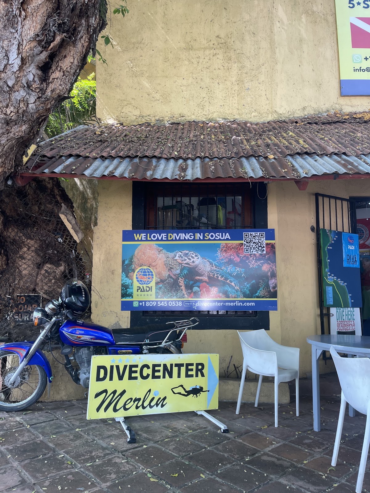 Divecenter Merlin S.R.L. - en Sosúa