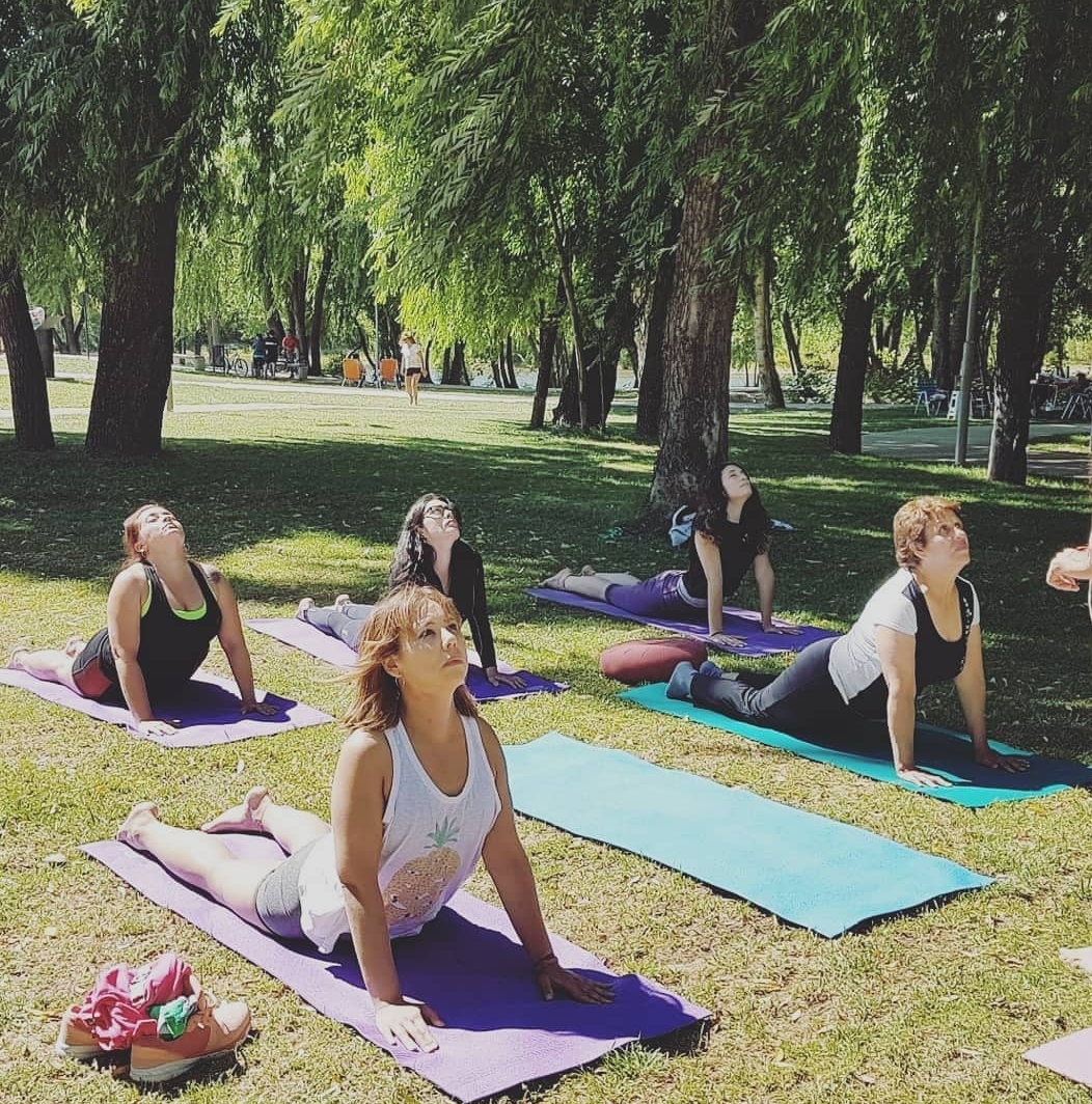 Portada de On line Yoga