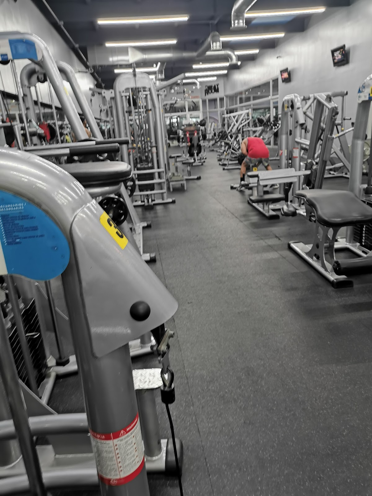 Gym Biofit Wellness Club - en Santiago de los Caballeros