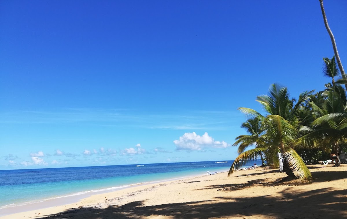 Portada de Yoga y Gong therapy Punta Cana