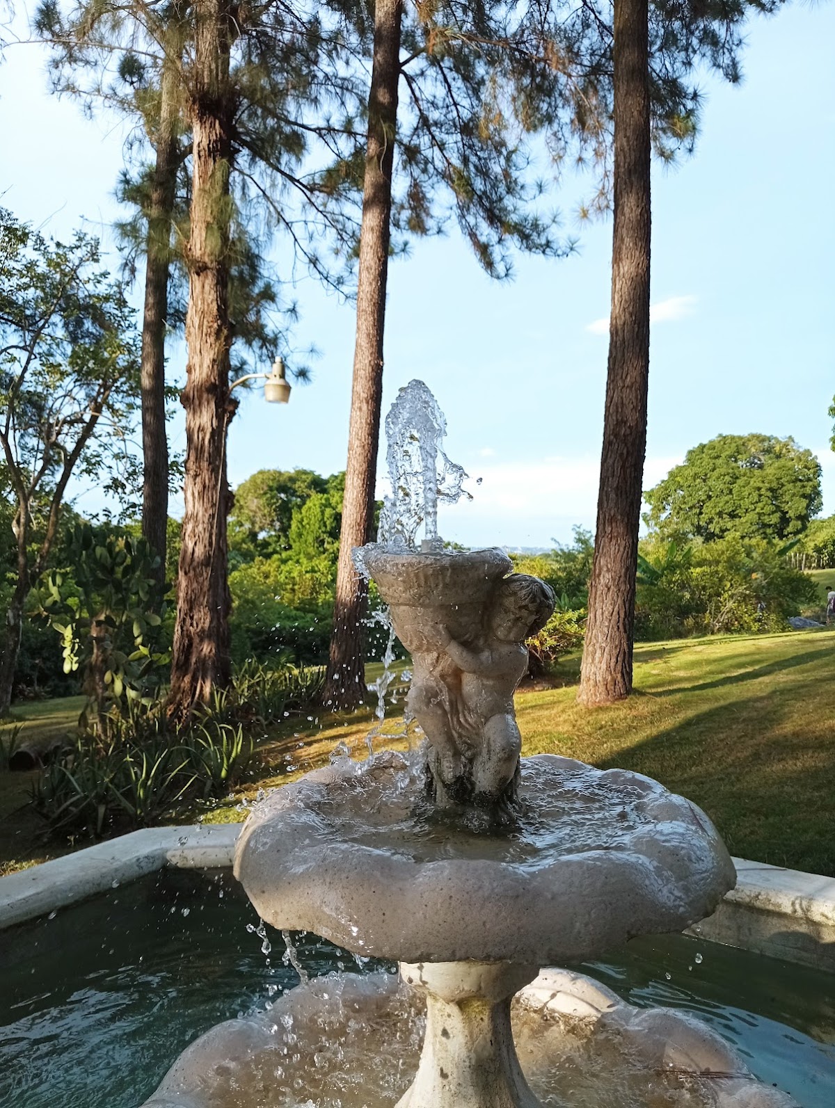 Portada de Campo Escuela Scout Cuayo