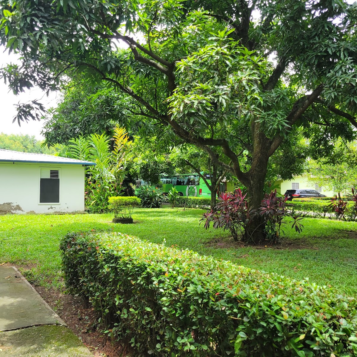 Centro de Campamento Cristiano (CCC) - en La Concepción de La Vega