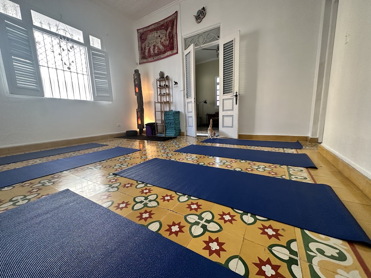 Studio Shakti, Yoga con Syl - en Santiago de los Caballeros