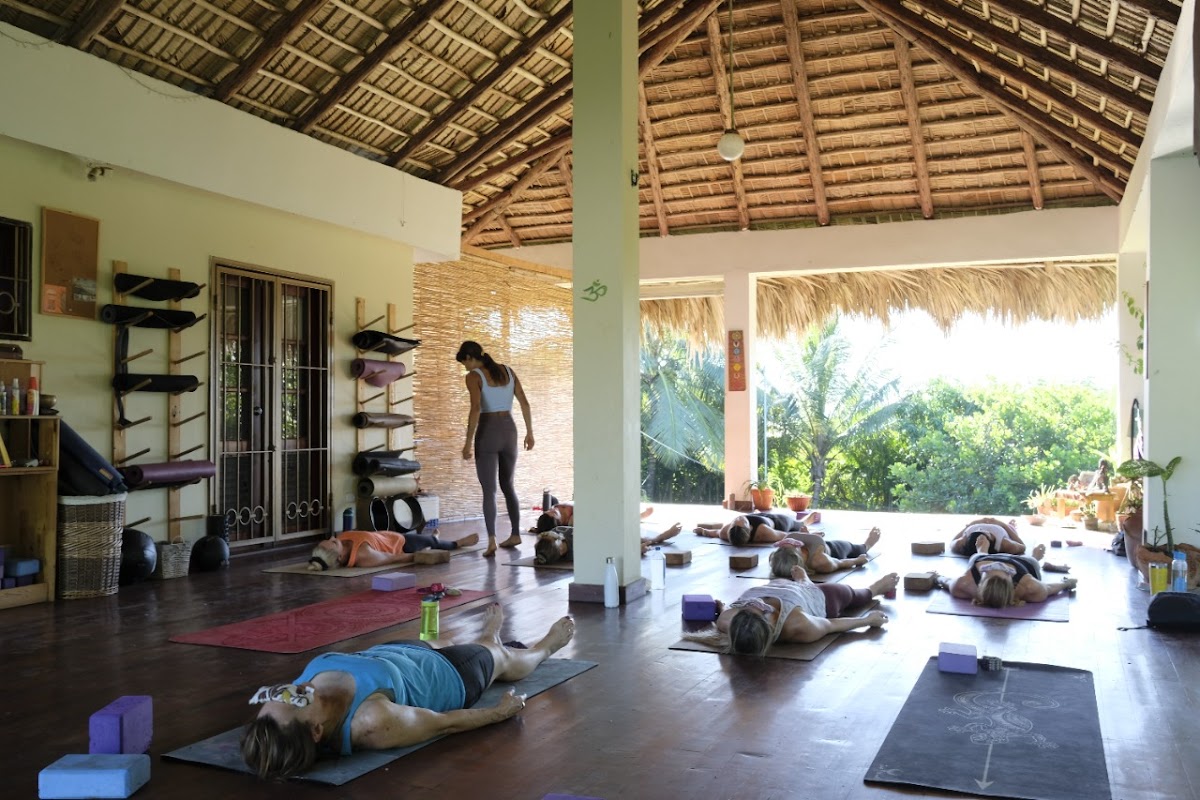 Portada de Dharma Shala Yoga Community