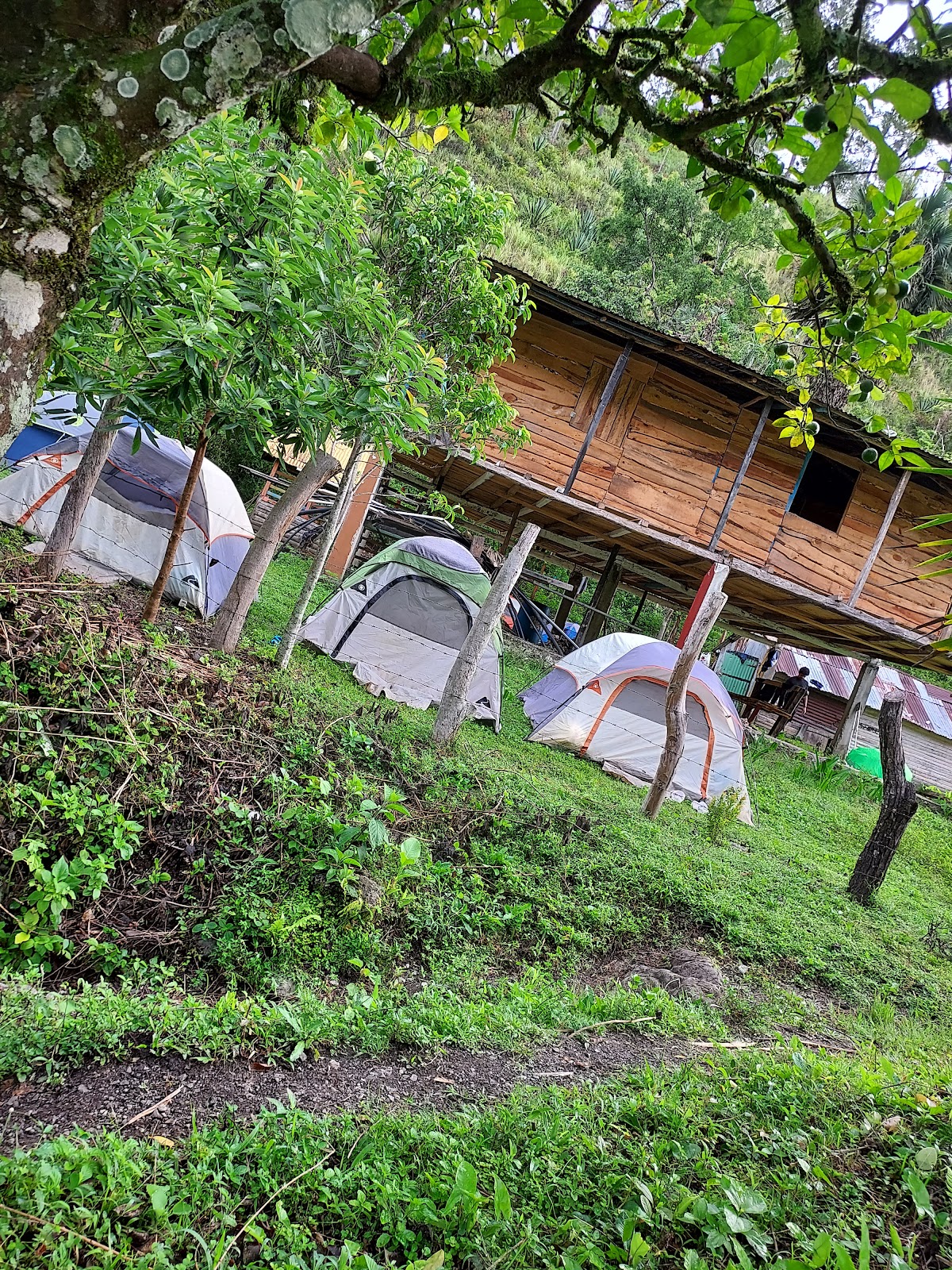 Portada de Campamento Wendy