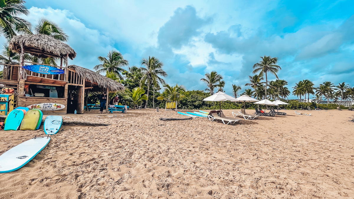Portada de Punta Cana Surf Adventure