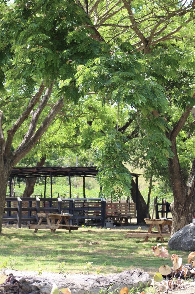 Rancho ABC - en San Felipe de Puerto Plata