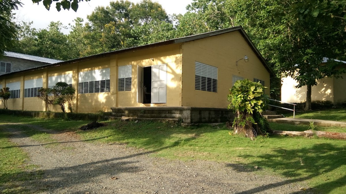 CAMPAMENTO LOS PINOS - en Loma de Cabrera