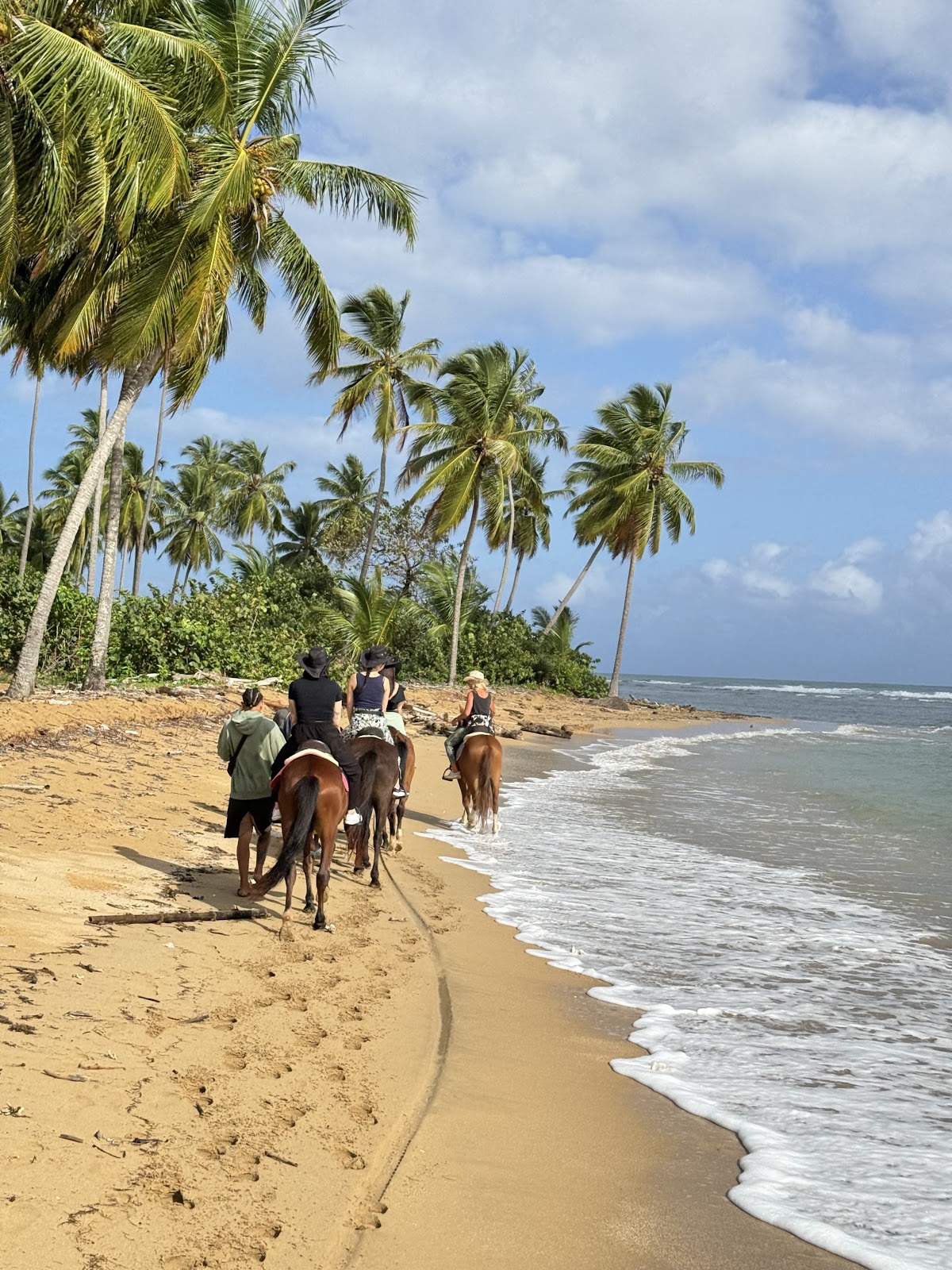 Rancho Playa - en Santa Bárbara de Samaná