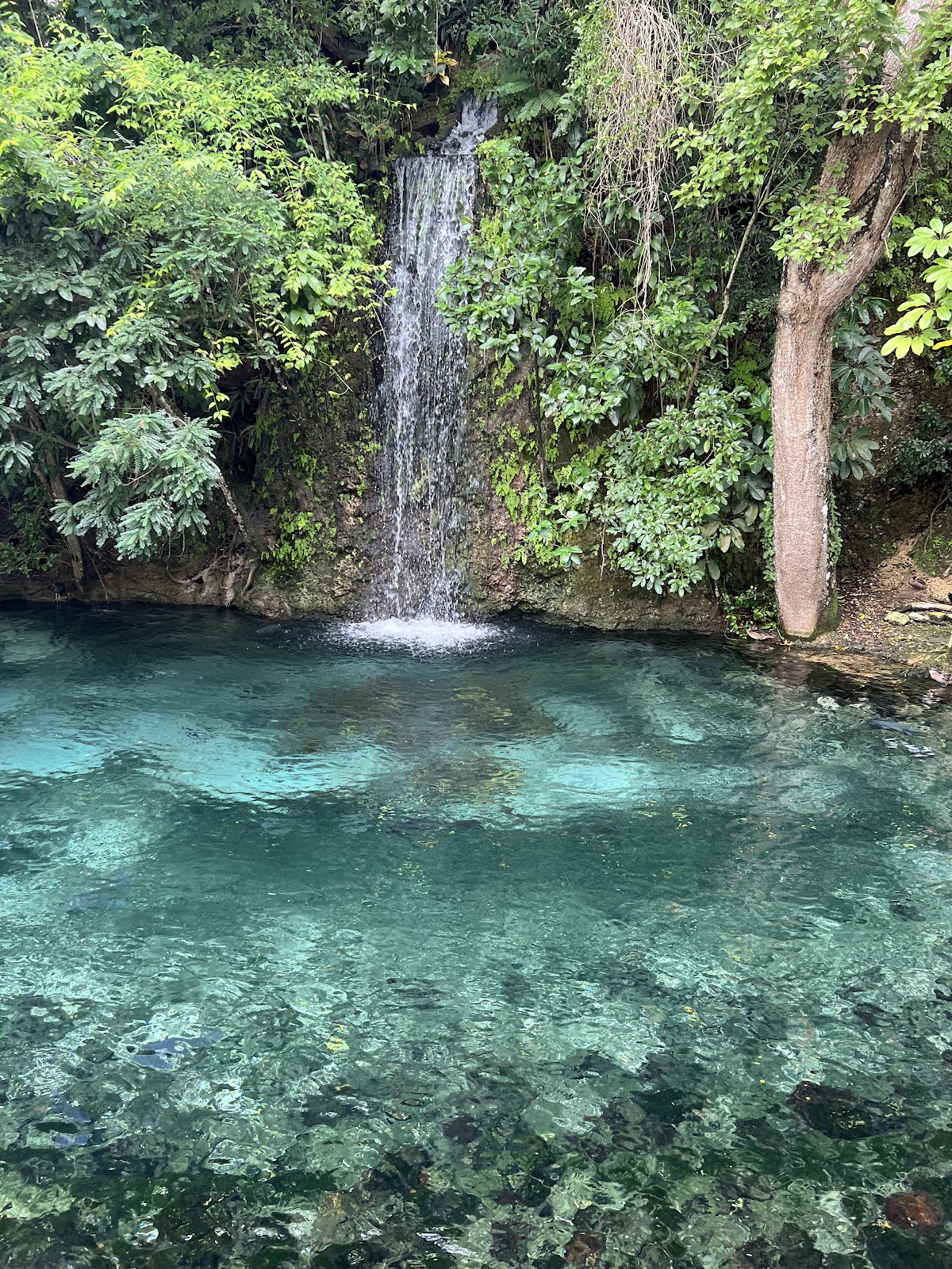 Zoológico - en Santo Domingo de Guzmán