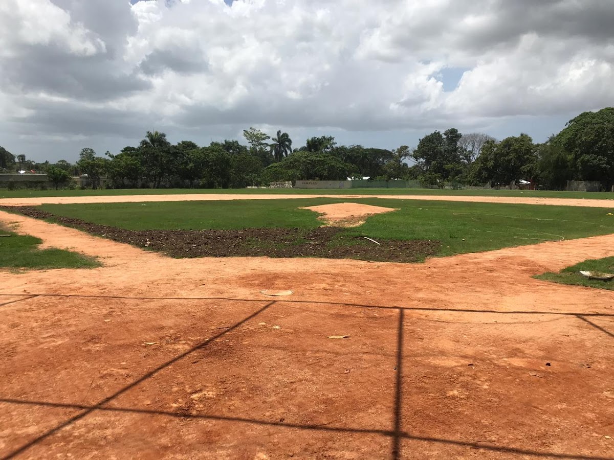 Portada de Academia De baseball (Carlos Almánzar)