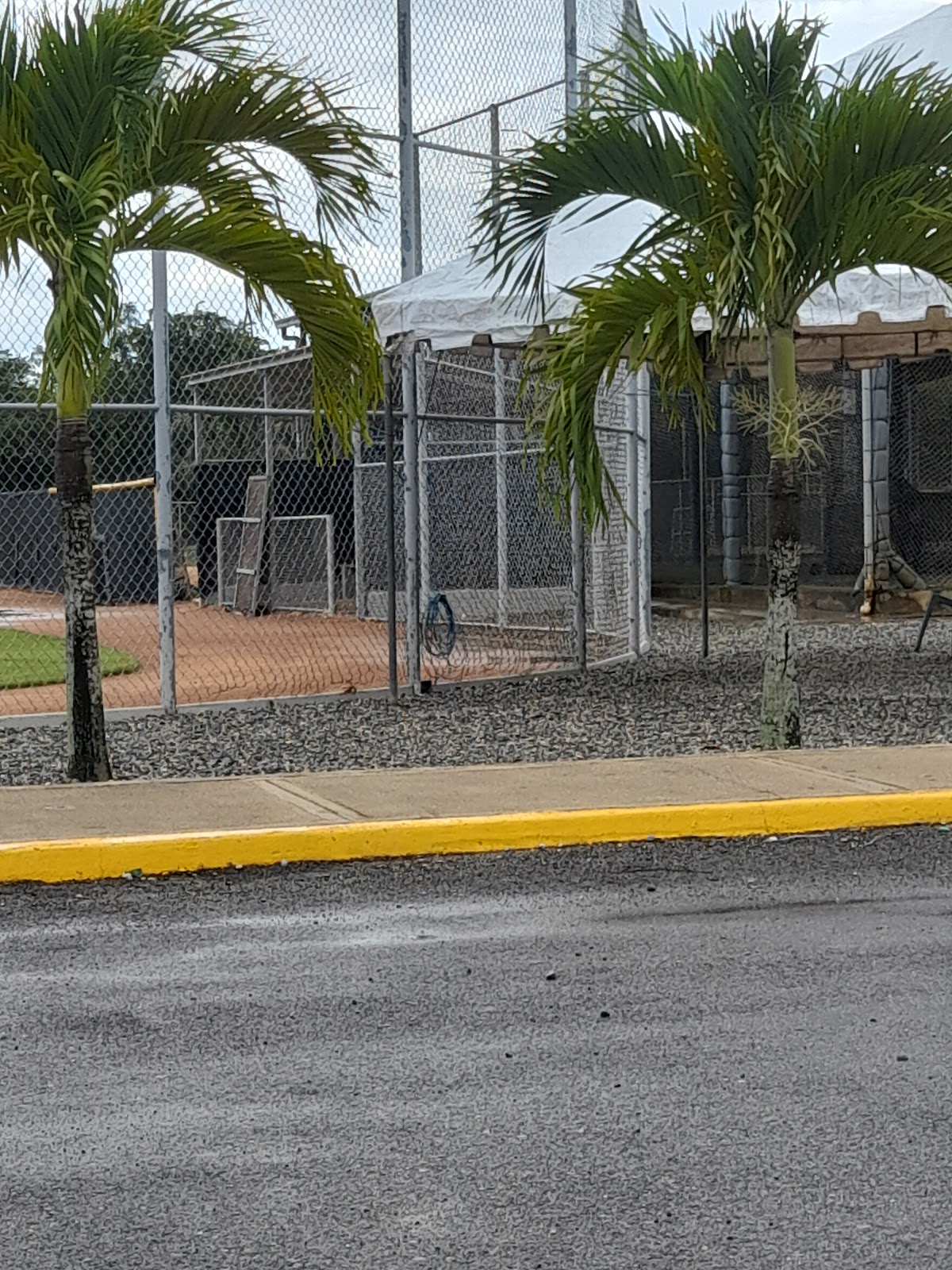 Quality Baseball Academy - en San Antonio de Guerra