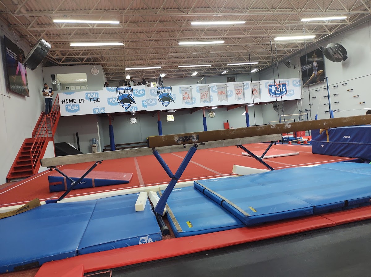 Portada de The Kids Gymnastics Academy