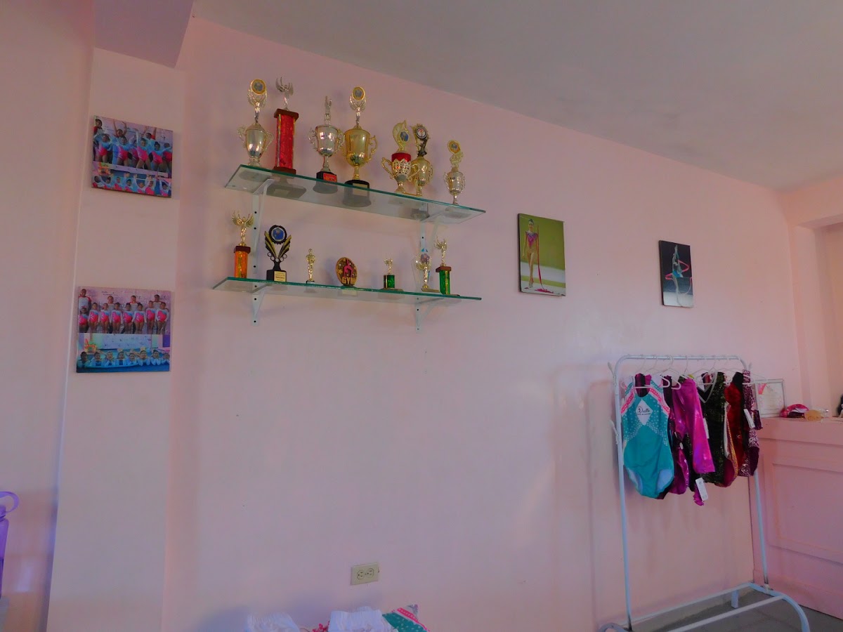 Portada de Dolls Gymnastics Academy -DGS