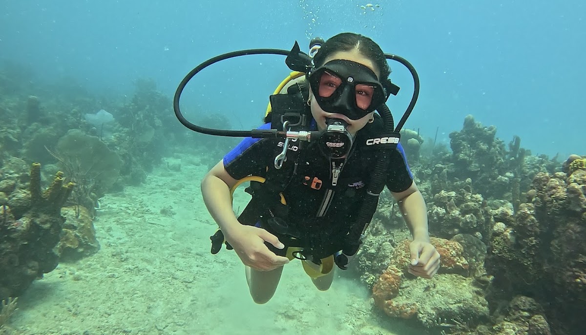 Portada de Dive Dominicana - PADI & IANTD Diving center