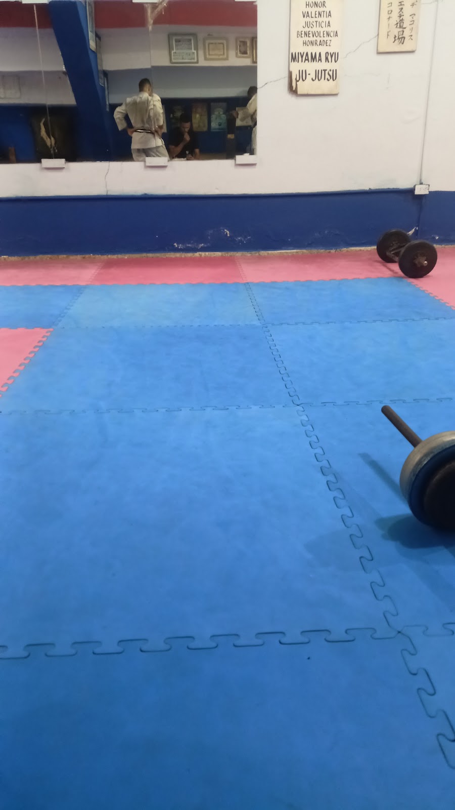 Portada de Okamura Hombu Dojo Centro de Artes Marciales
