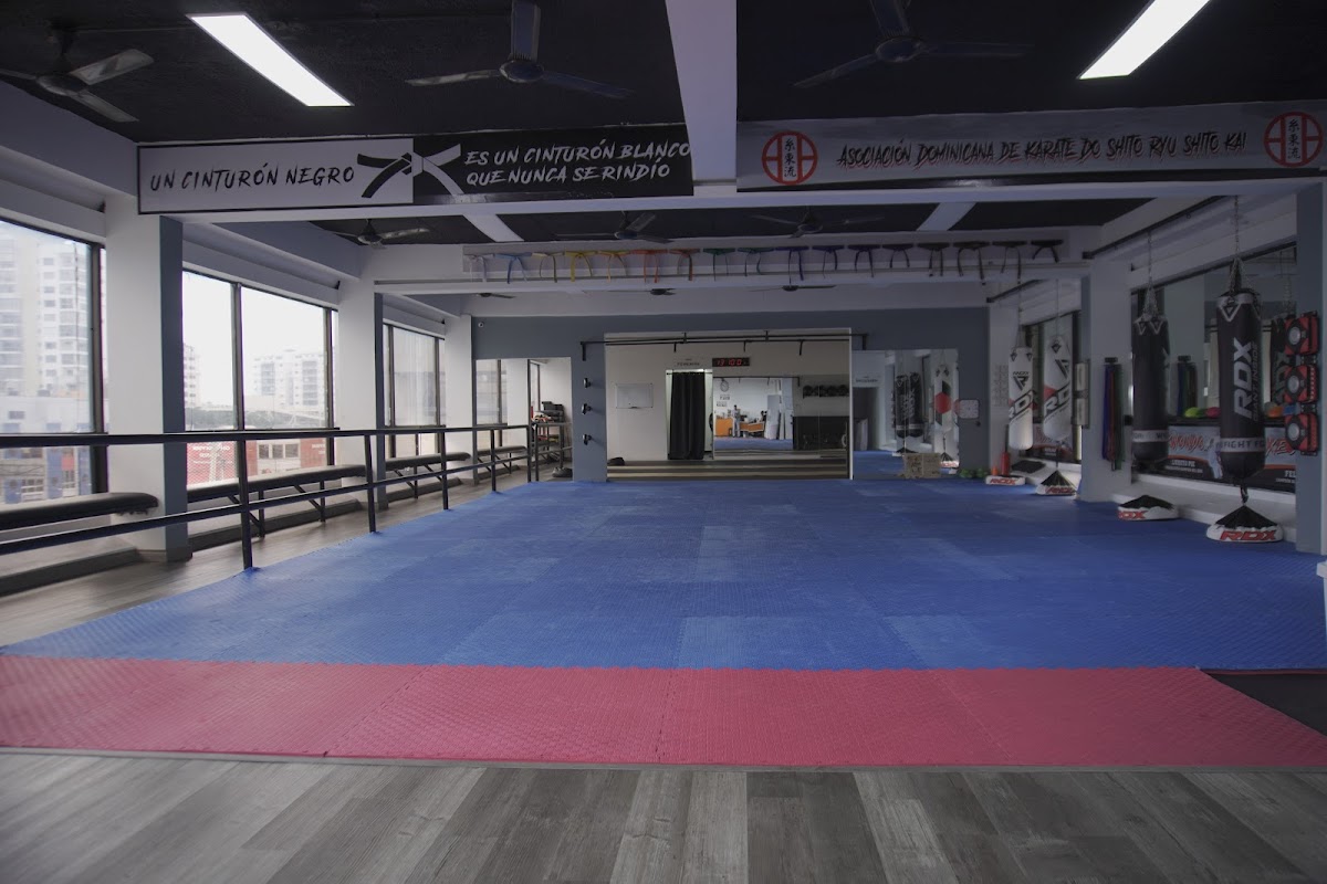 Portada de Dimitrova Training Academy