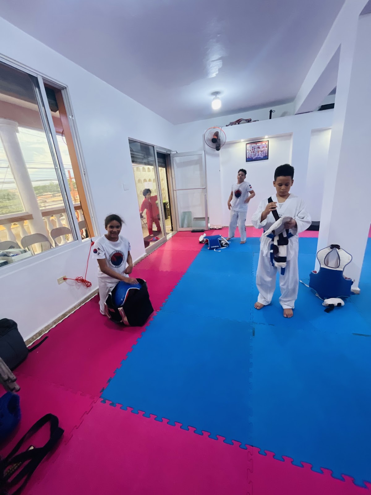 Benjamin Taekwondo Academy - en Santo Domingo Este