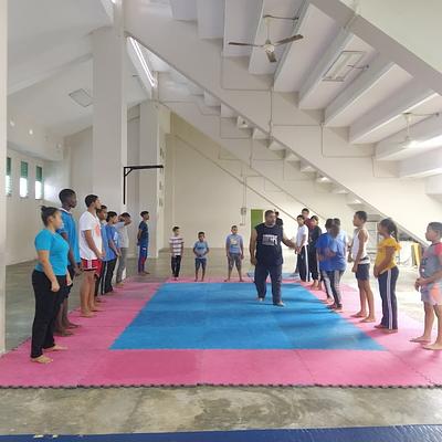 Foto 1 de Academia de Taekwondo Pequeños Titanes