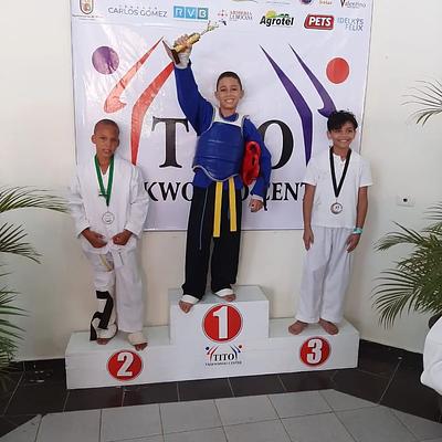 Foto 1 de Evelyn Gomez Taekwondo Club