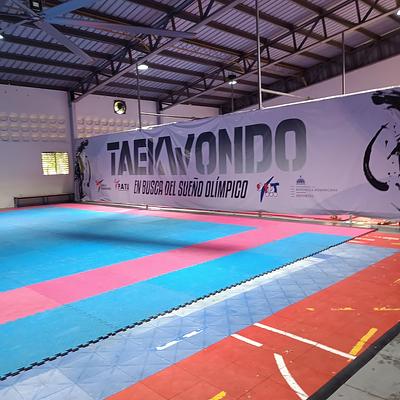 Foto 1 de Federación Dominicana de Taekwondo