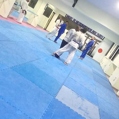 Foto 1 de Dai Bushi Ryu - Ju-Jutsu