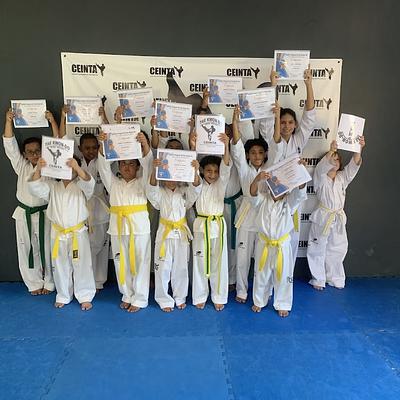 Foto 1 de Centro integral de de taekwon-Do (Ceinta)