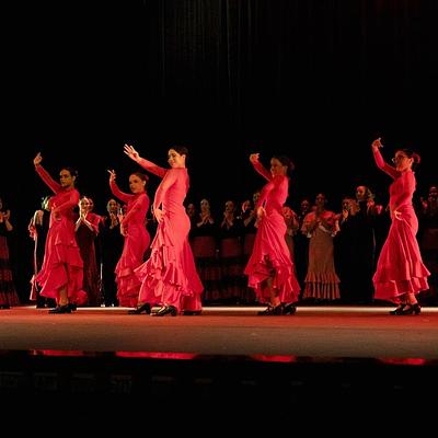 Foto 1 de Leslie Ricardo Escuela de Danzas / Flamenco / Tablao / Espectáculos/ Show