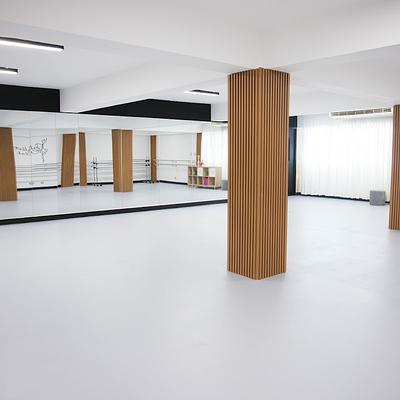 Foto 1 de Ballet Club