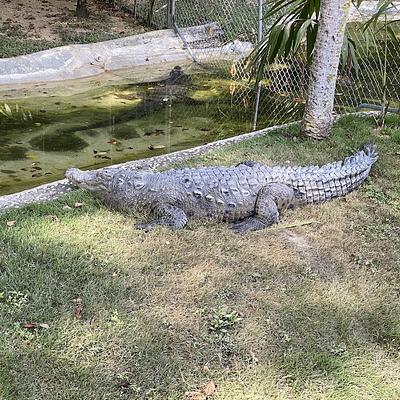 Foto 1 de Parque Zoológico Nacional Arq. Manuel Valverde Podestá