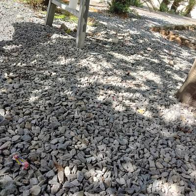 Foto 1 de Palmares Play Land
