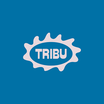 Foto 2 de TRIBU Athletic Jiu Jitsu Club