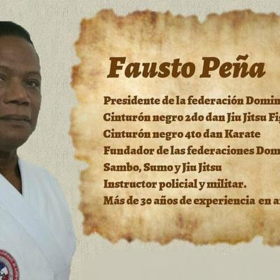 Foto 2 de FEDOJIUJITSU - Federación Dominicana de JIUJITSU - FDJJ